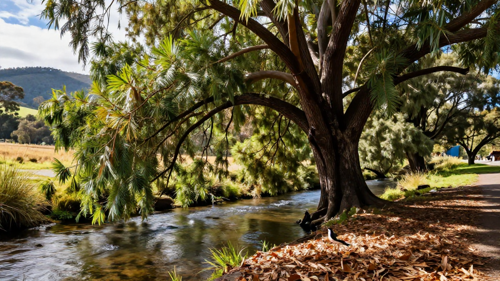 大洋洲维多利亚州森林温带森林柳树