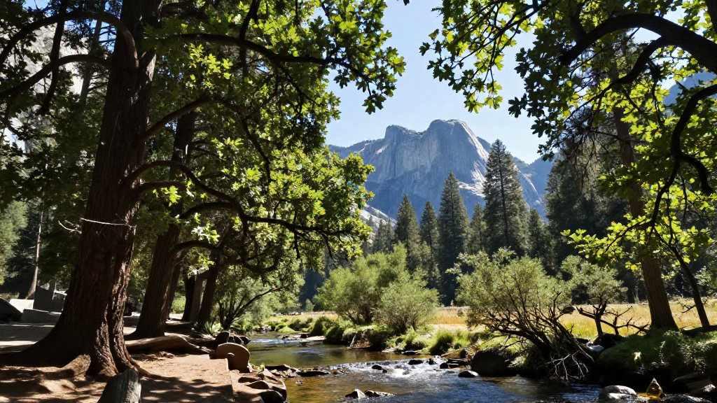 北美洲优胜美地森林温带森林橡树