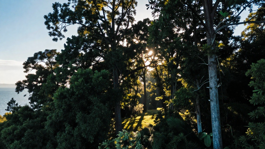 非洲坦噶尼喀湖森林航拍